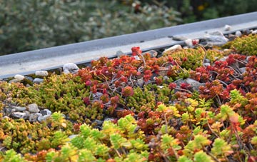 the cost of Boxted Cross green roof installation